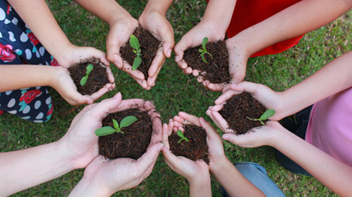 Compostaggio domestico 10 compostaggio 02