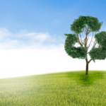 ecologia ambiente 26