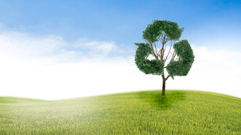 Giarre, attivo nuovo Ecopunto 1 ecologia ambiente 26